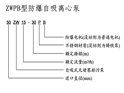 不銹鋼自吸泵,防爆自吸泵,排污自吸泵,ZX型自吸泵，ZW型自吸泵，無密封自控自吸泵，自吸泵圖片，自吸水泵，自吸泵廠家，自吸泵價格，上海自吸泵